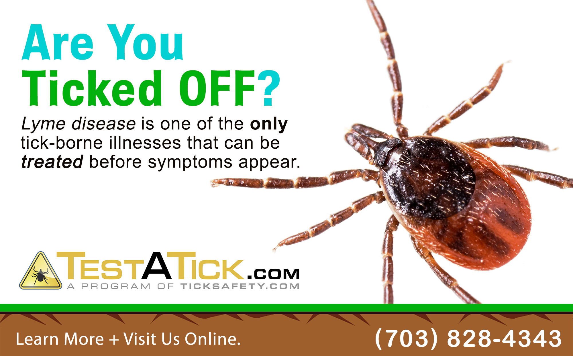 Testing Deer Ticks for Lyme Disease | TestATick.com