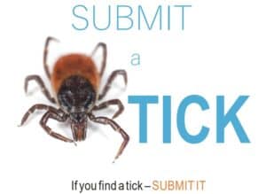 Found a Tick? Submit a Tick! FREE Tick Identification!