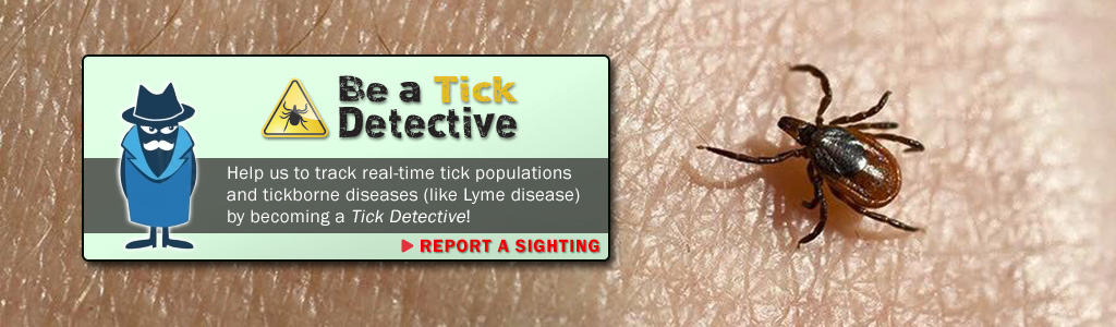 See a Tick? Snap a Pic! FREE Tick ID