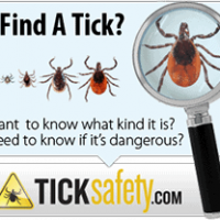 Find a Tick? Snap a Pic! FREE Tick Identification