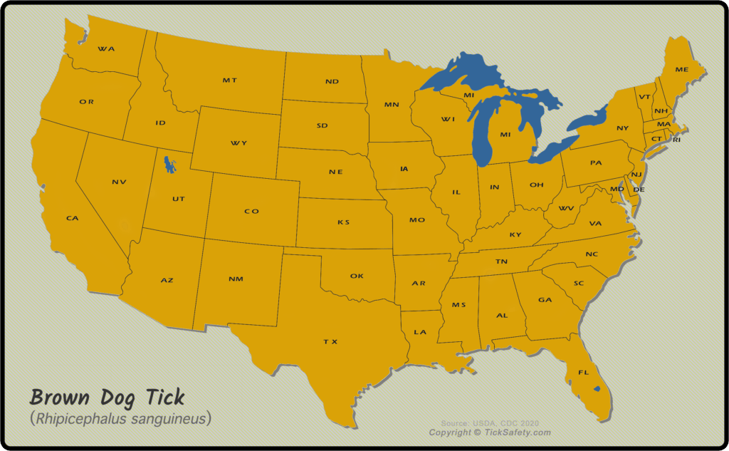 Range Map - Brown Dog Tick