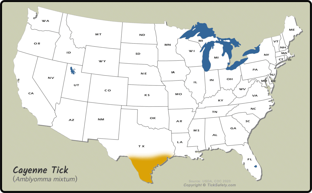 Range Map - Cayenne Tick