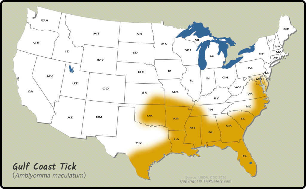 Range Map - Gulf Coast Tick
