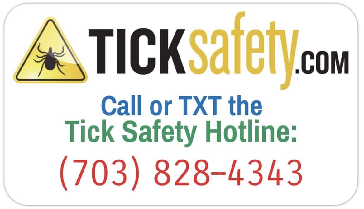Let the Tick Safety Hotline ID your Tick Lookalikes