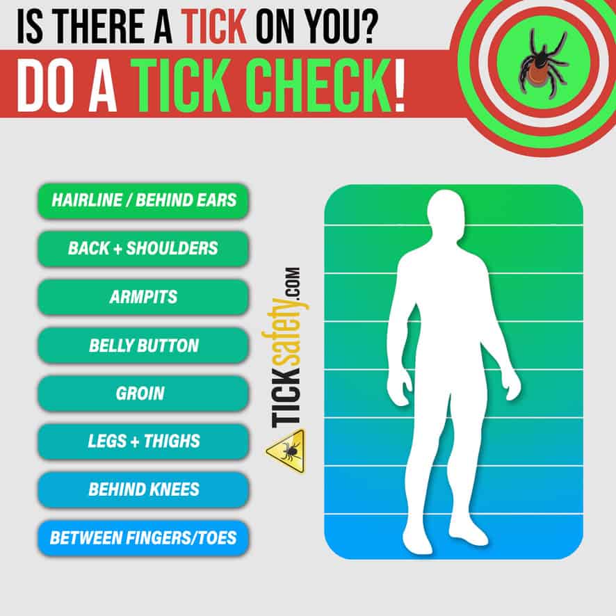 Places to Look for Ticks