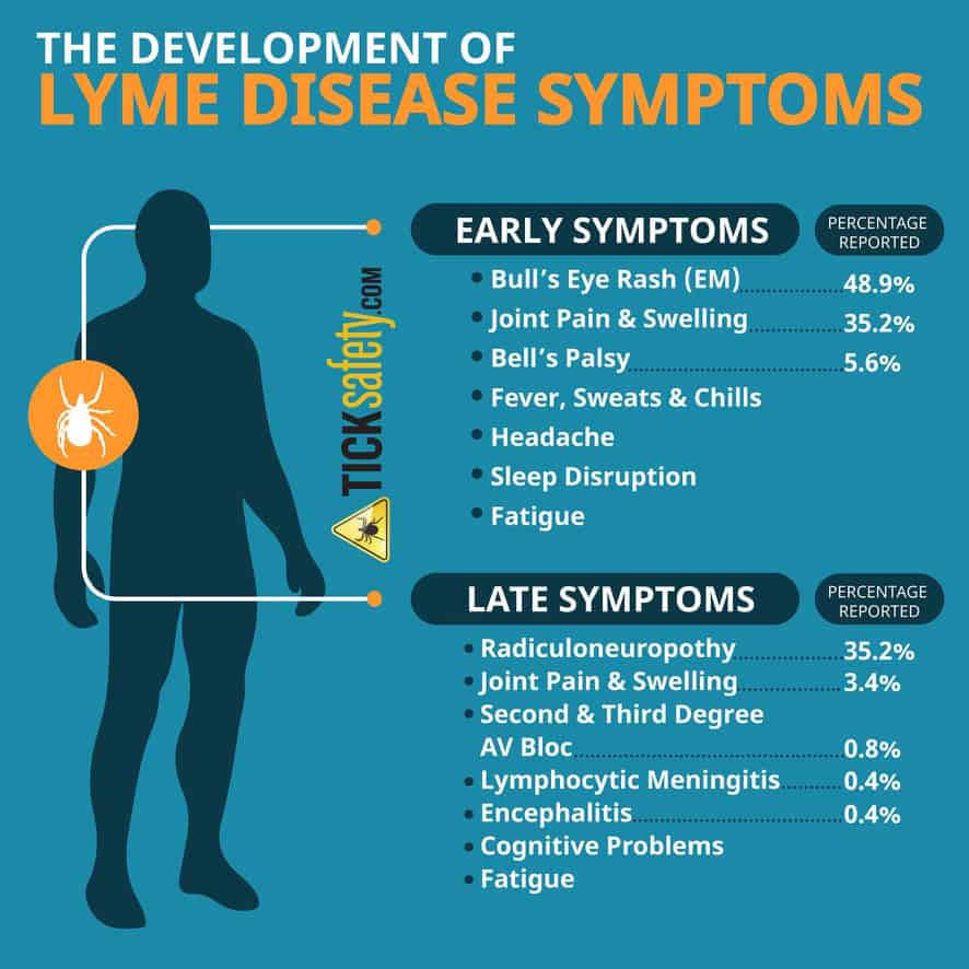 Development of Lyme Disease Symptoms