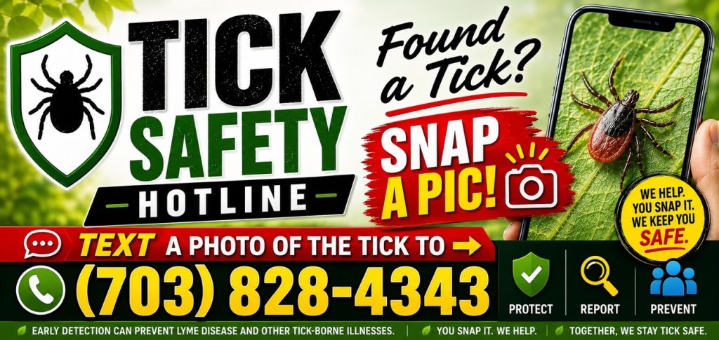 Found a Tick? Snap a Pic! And Text it to the Tick Safety Hotline, 703-828-4343 Found a Tick? Snap a Pic! And Text it to the Tick Safety Hotline, 703-828-4343