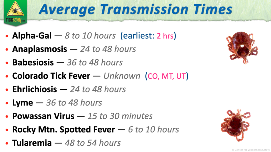Average Tick-Borne Illness Transmission Times