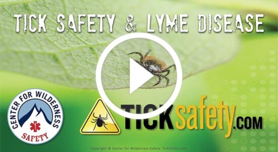 Tick Safety Talk - Online Presentation