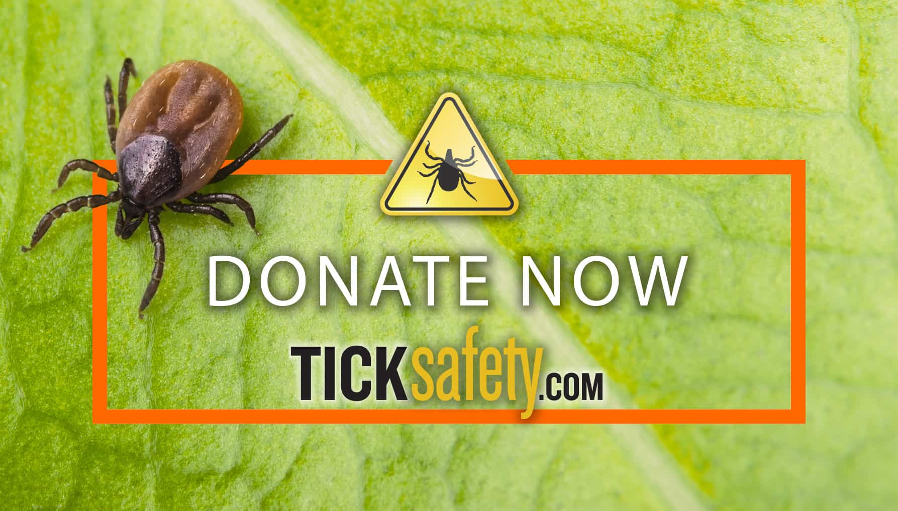 When a tick bites how long does it stay attached? • TickSafety.com | Tick Safety Education • Awareness • Lyme Testing